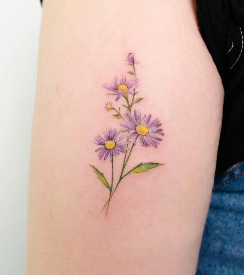 The "Aster" Everyone is Suddenly Talking About: A Crypto Breakthrough, Not a Flower